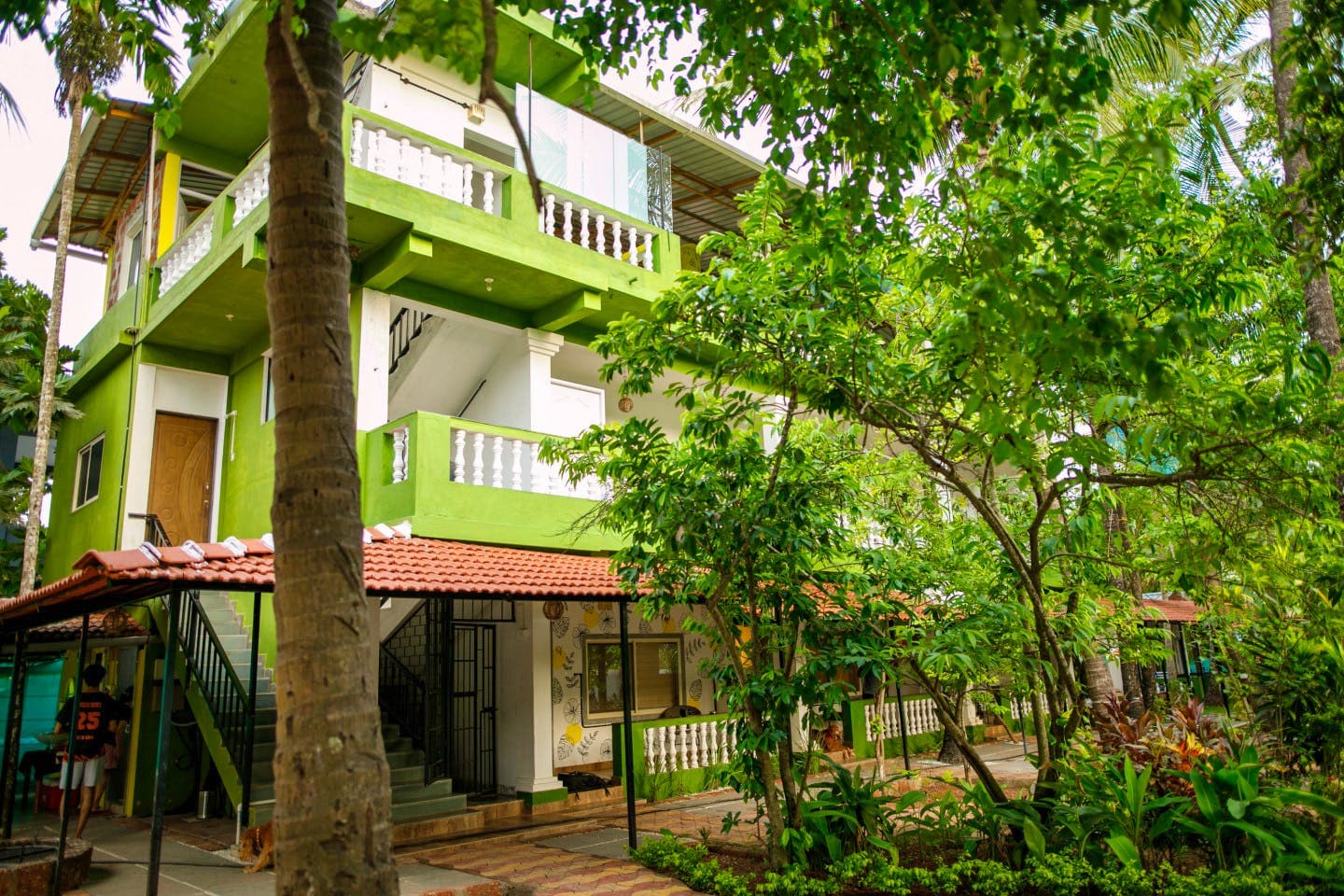 Outstanding Bright Complex photo 1