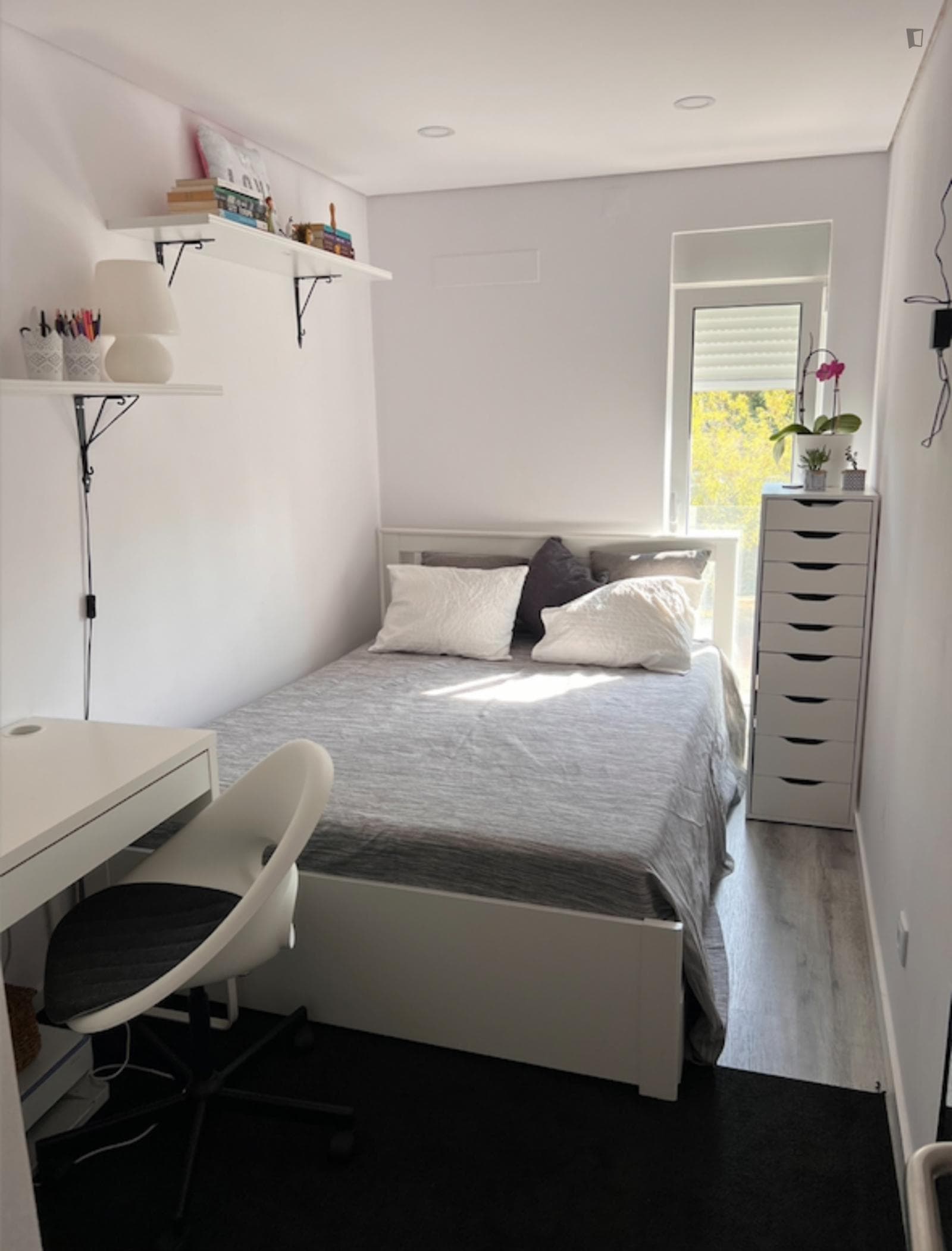Cosy double bedroom in 3-bedroom apartment near Universidade de Lisboa photo 1