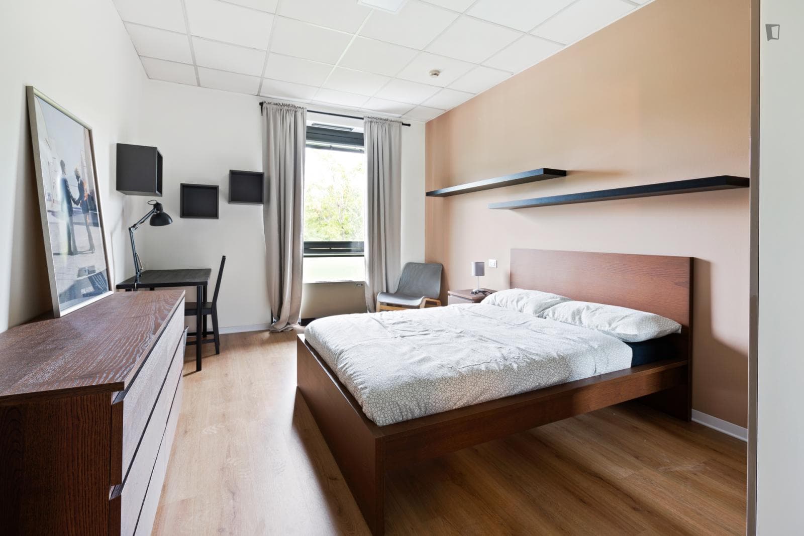 Spacious double bedroom near Parco Lambro photo 1