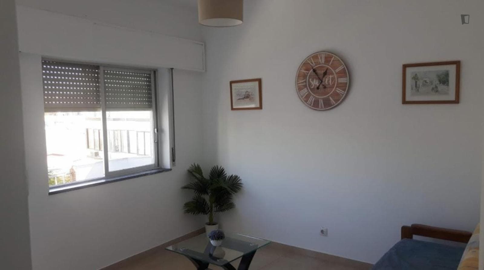 Homely 1-bedroom apartment in the centre of Faro photo 1