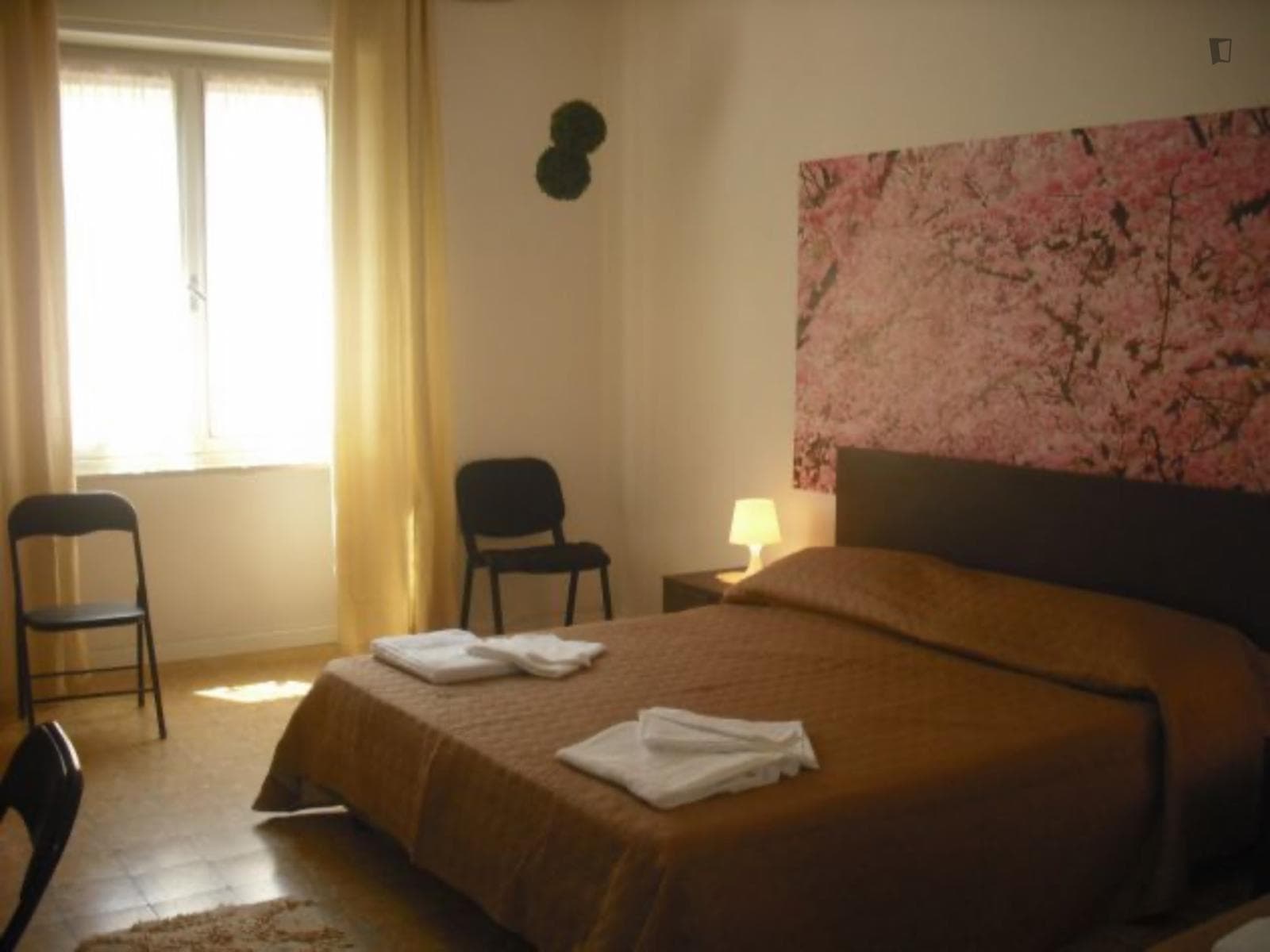 Bedroom In Pisa Centre Near All Universities And Pisa Centrale Train Station photo 1