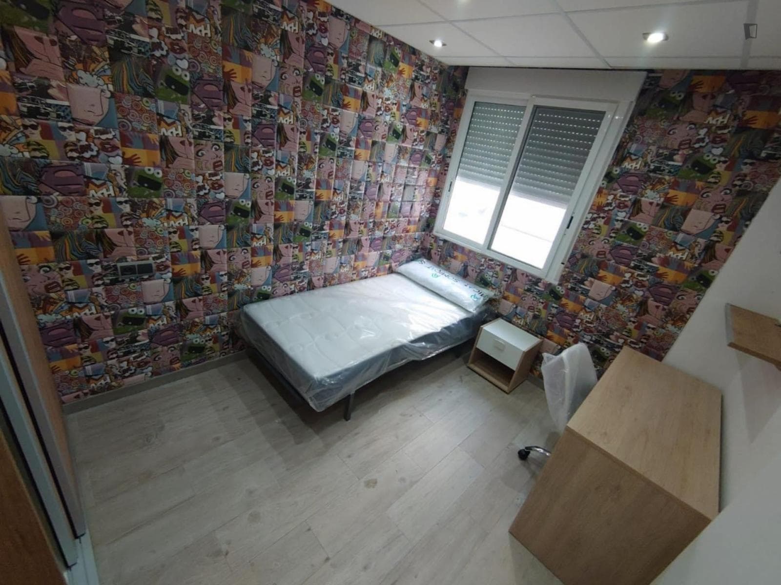 New room close to Facultad Ciencias Universidad de Alicante photo 1