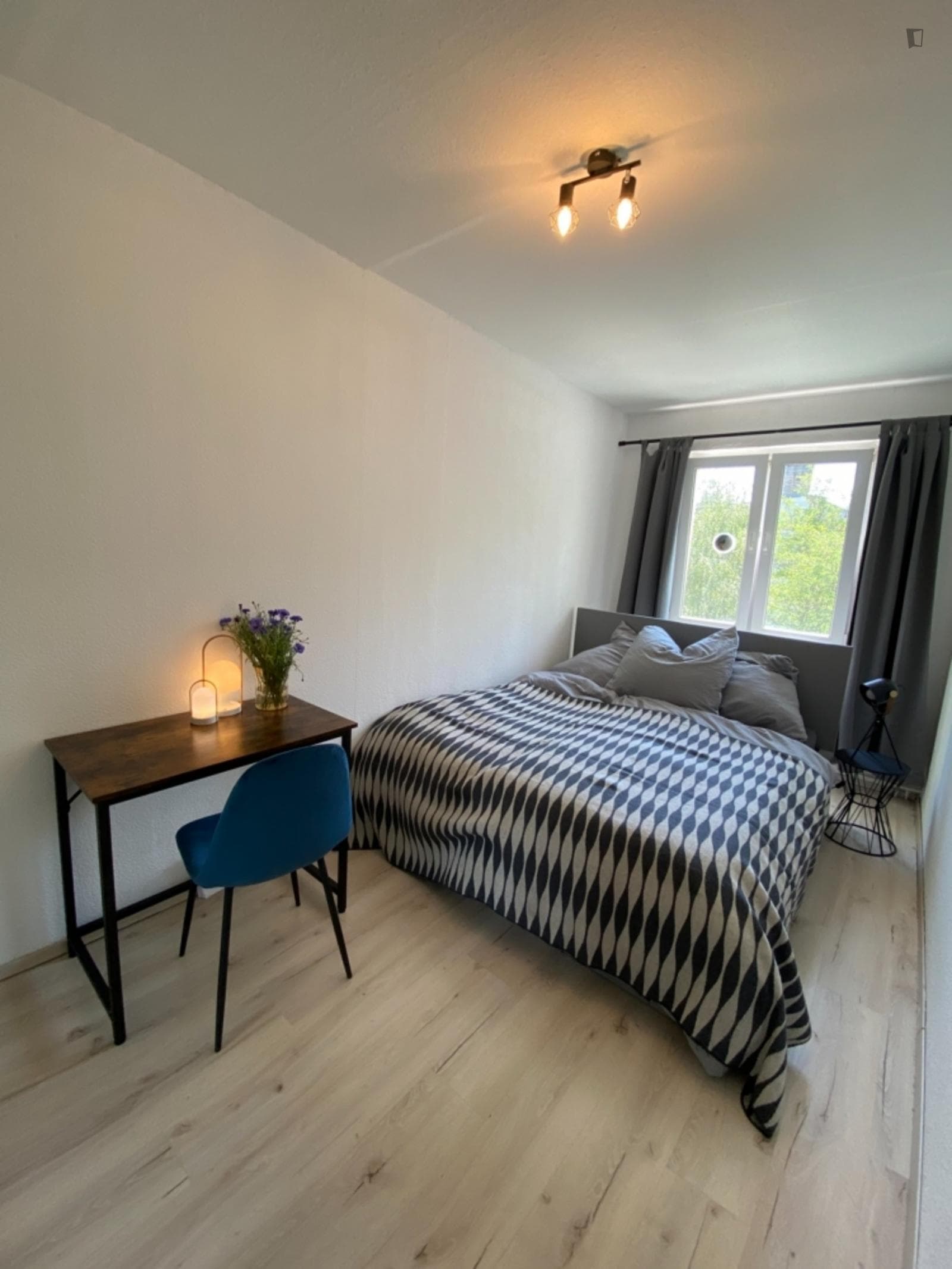Bright 1-bedroom apartment in Adlershof photo 1