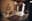 preload