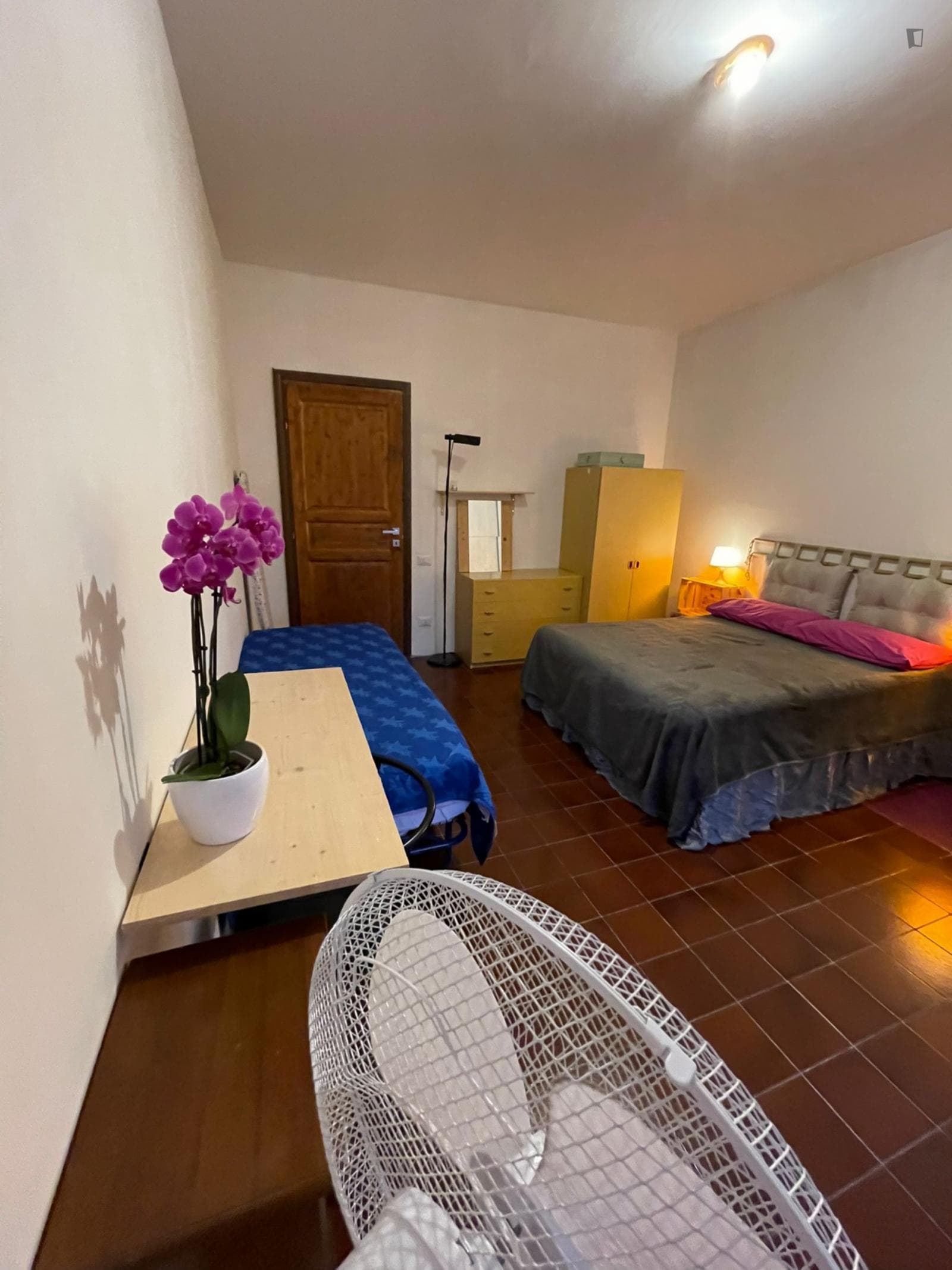 Comfy Apartment close the Petroselli Park photo 1