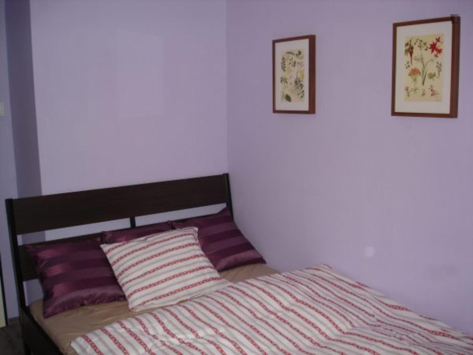 Snug double bedroom in a 4-bedroom apartment close to Podviní park photo 1