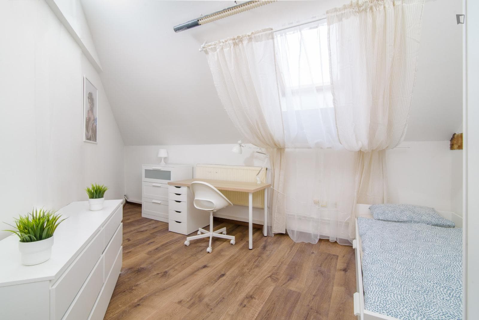 Bright single bedroom in a 6-bedroom apartment close to Riegrovy sady photo 1