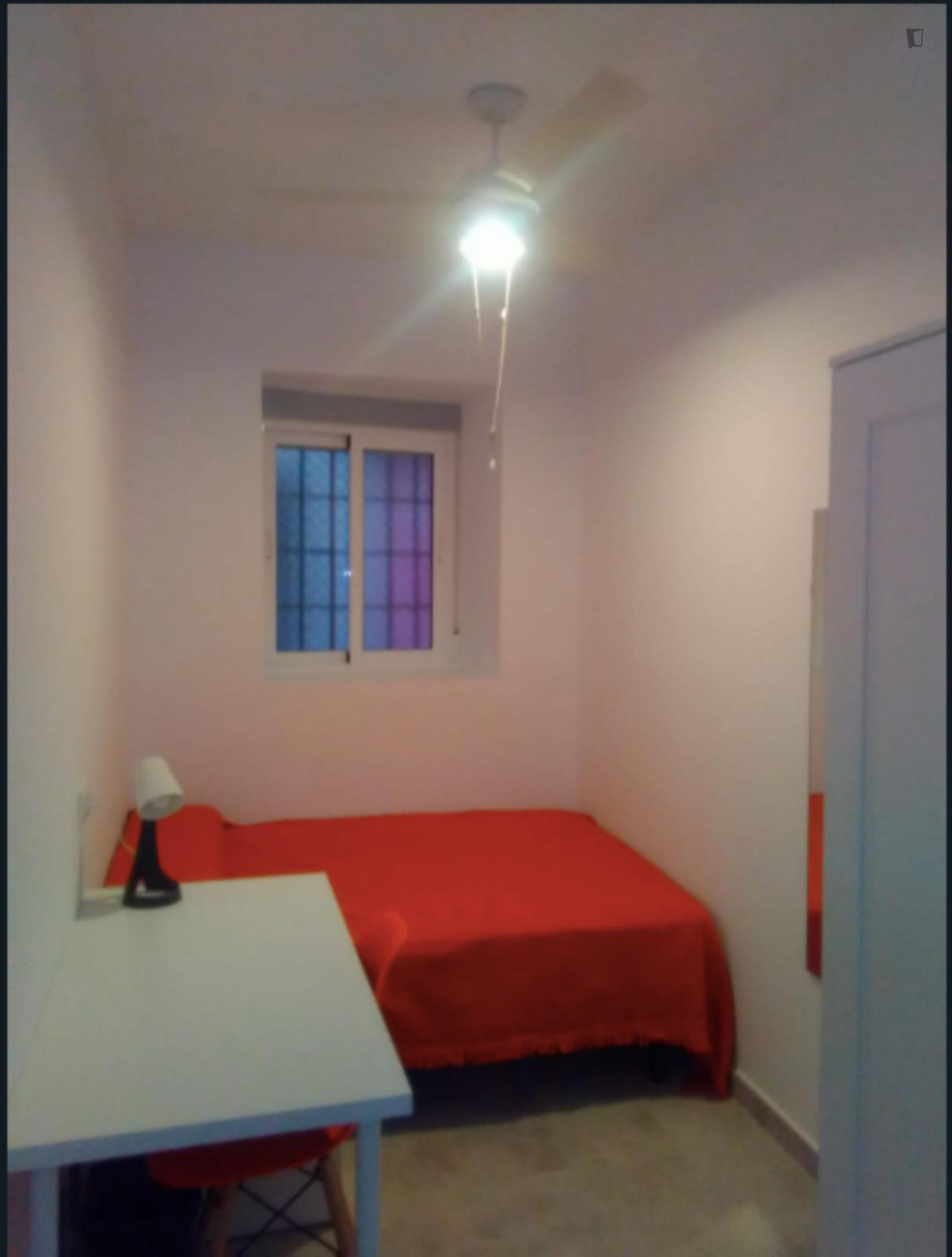 Cozy room in coliving space in Murcia photo 1
