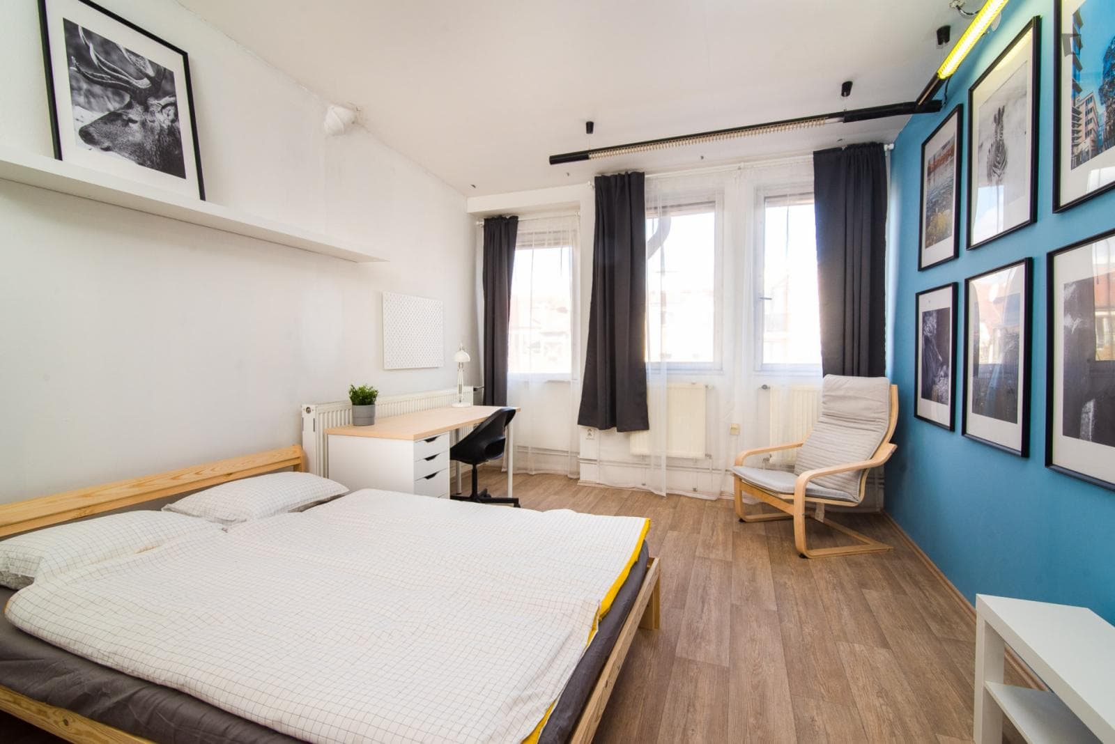 Comfy double bedroom in a 4-bedroom apartment close to Riegrovy sady photo 1