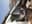 preload