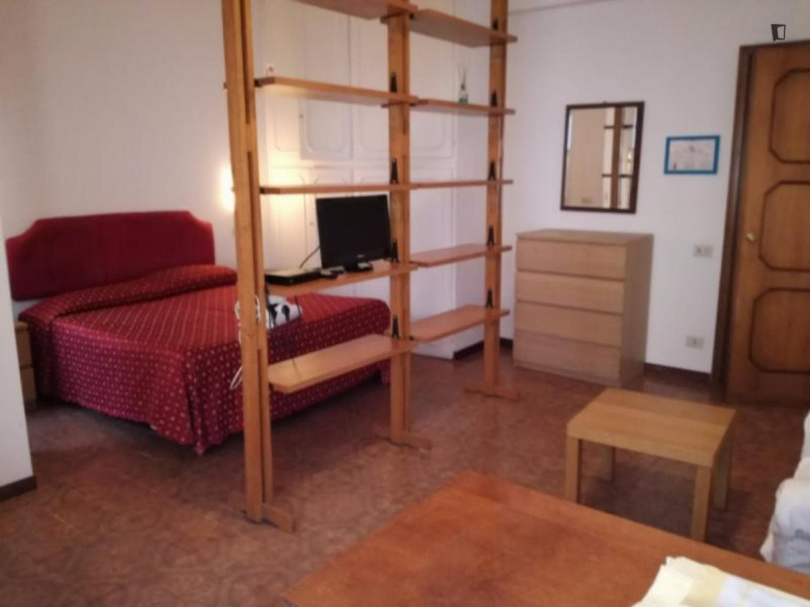 Comfortable studio in Balduina photo 1