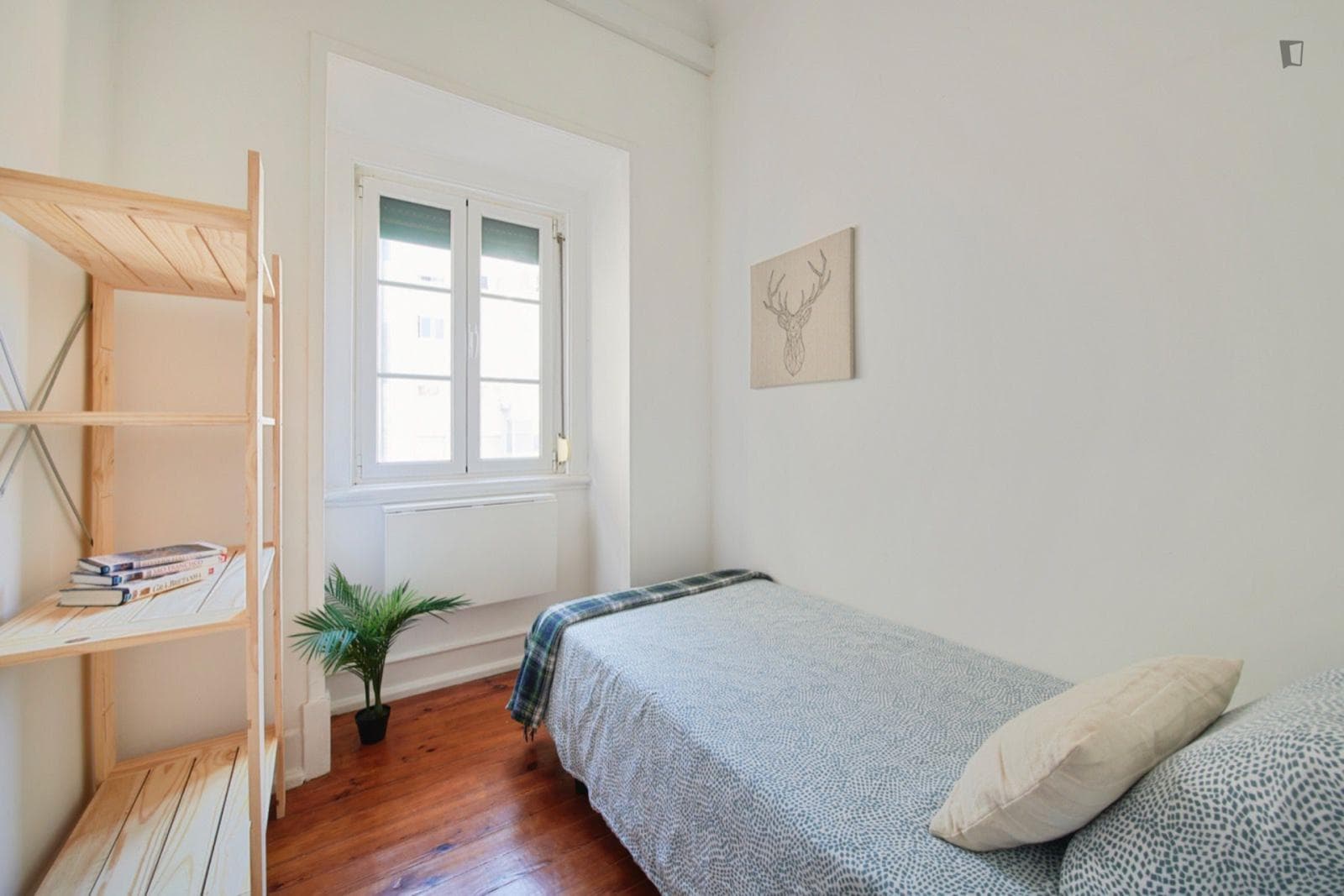Sunny single bedroom in a 6-bedroom flat photo 1