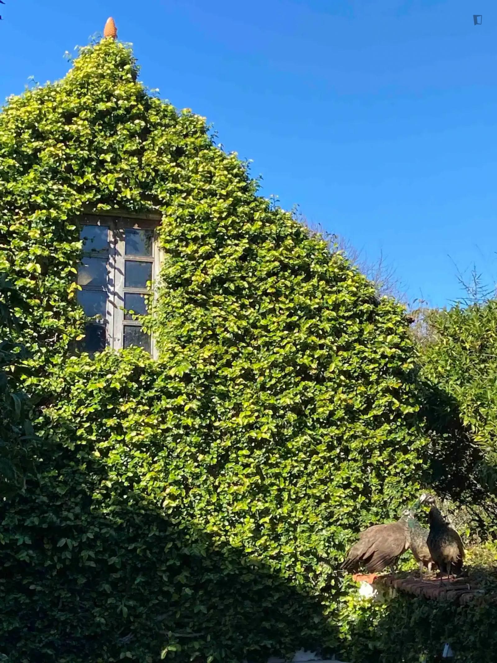 Property photo thumbnail