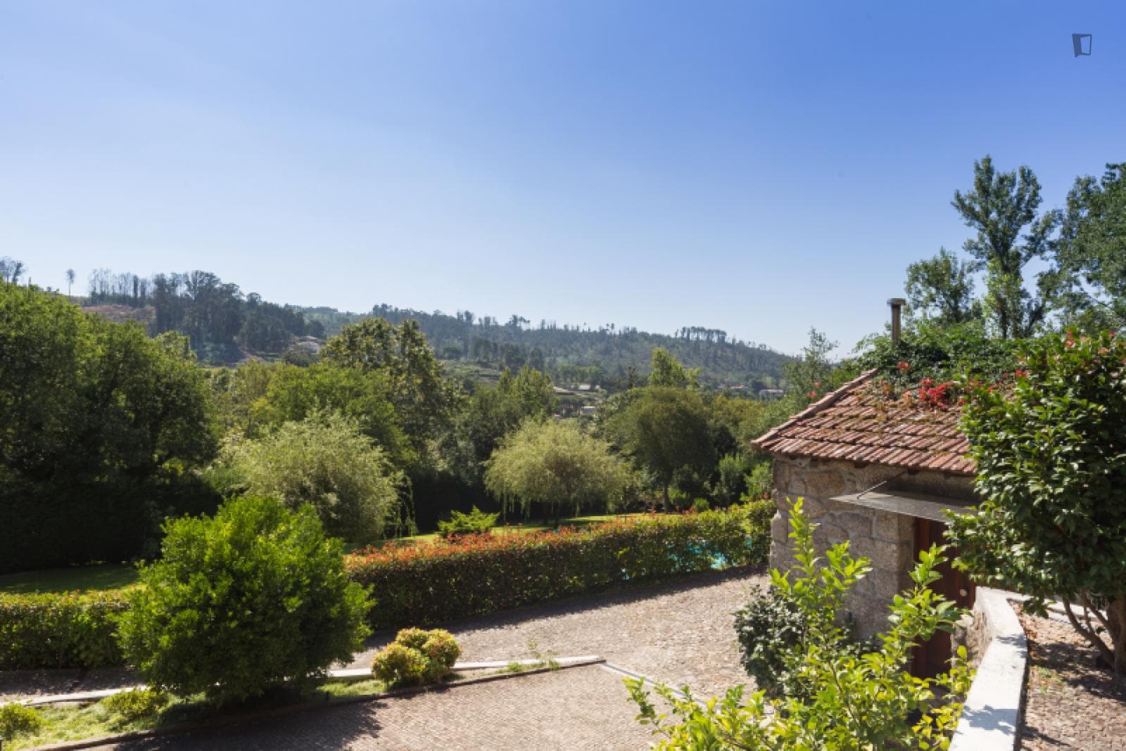 Lovely 4-bedroom house in Travanca photo 1