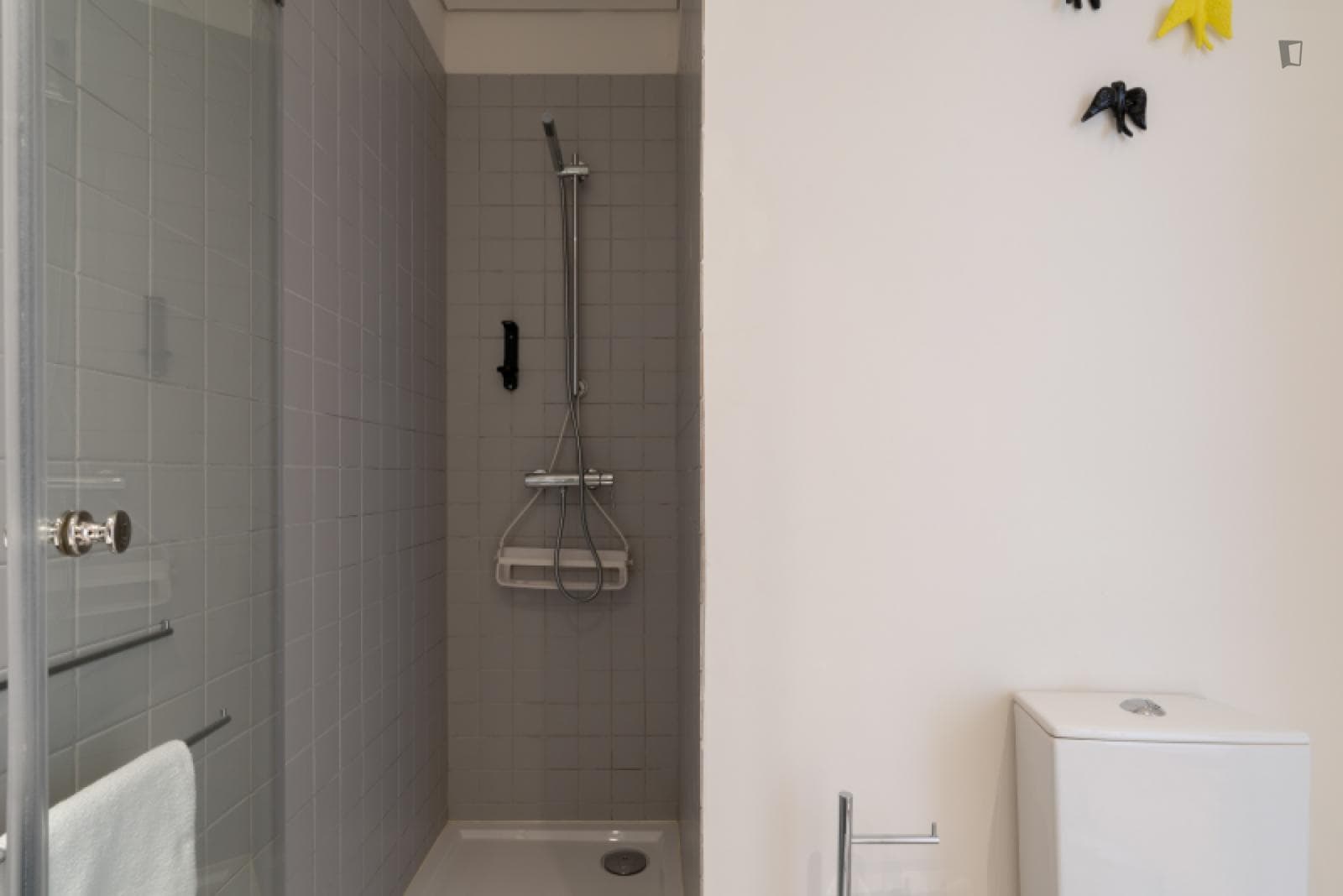 Lovely 1-bedroom flat just steps from Torre dos Clérigos photo 1