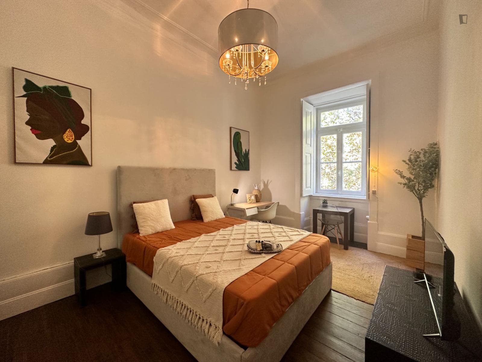 Spacious double bedroom near Faculdade de Medicina of Coimbra photo 1