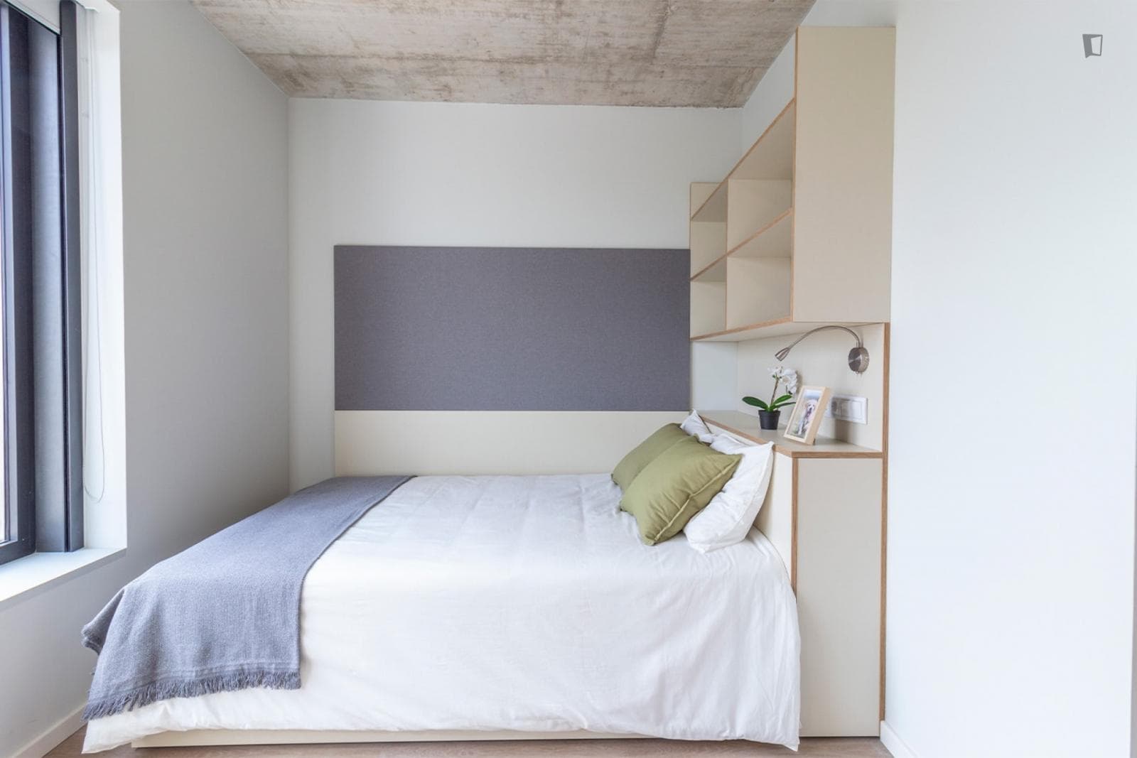 Bed in a shared studio within easy reach of the Faculty of Medicine and the Faculty of Sport photo 1