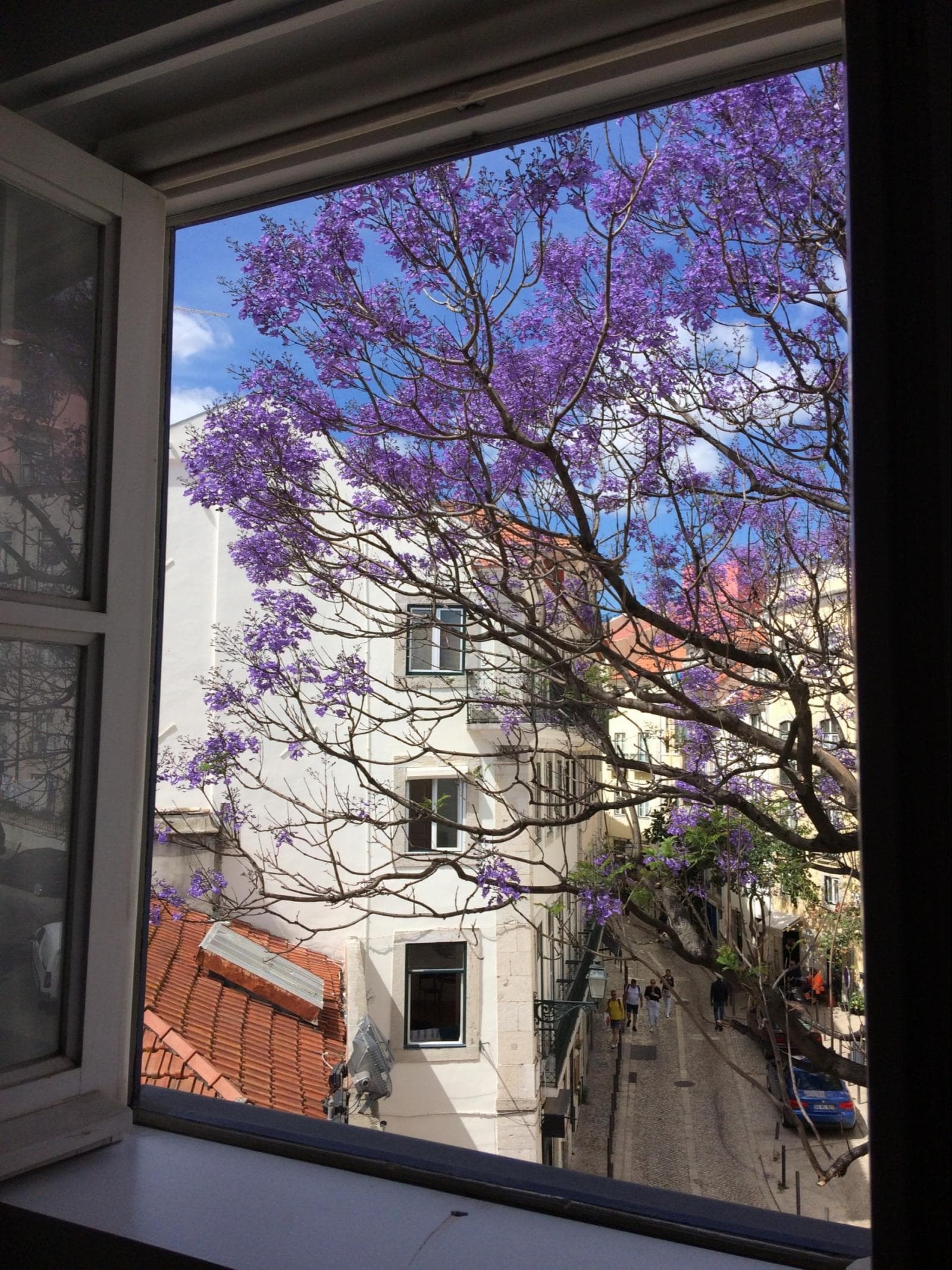 Charming flat in the heart of Lisbon's historic centre photo 1