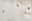 preload