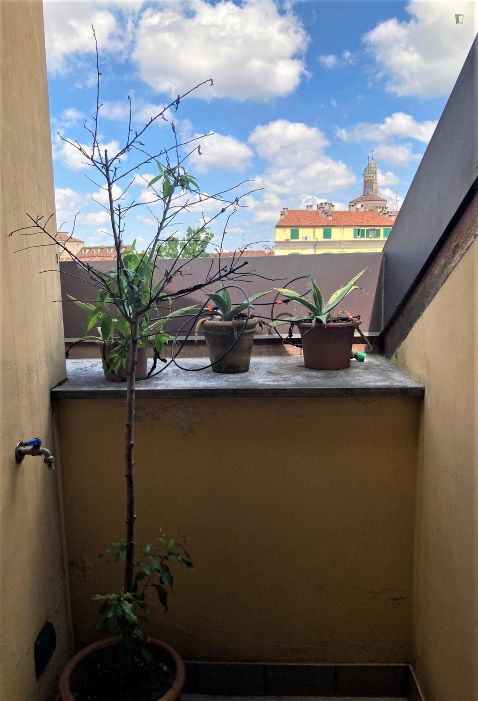 Property photo thumbnail