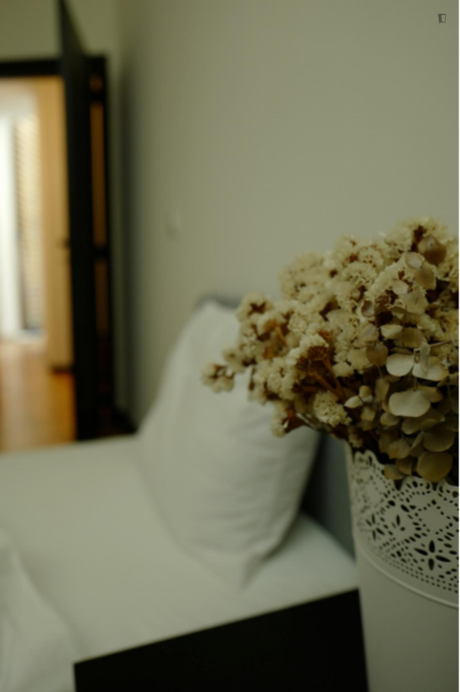 Welcoming Single Bedroom close to Instituto Superior de Engenharia do Porto (ISEP) photo 1