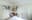 preload