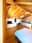 preload