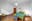 preload