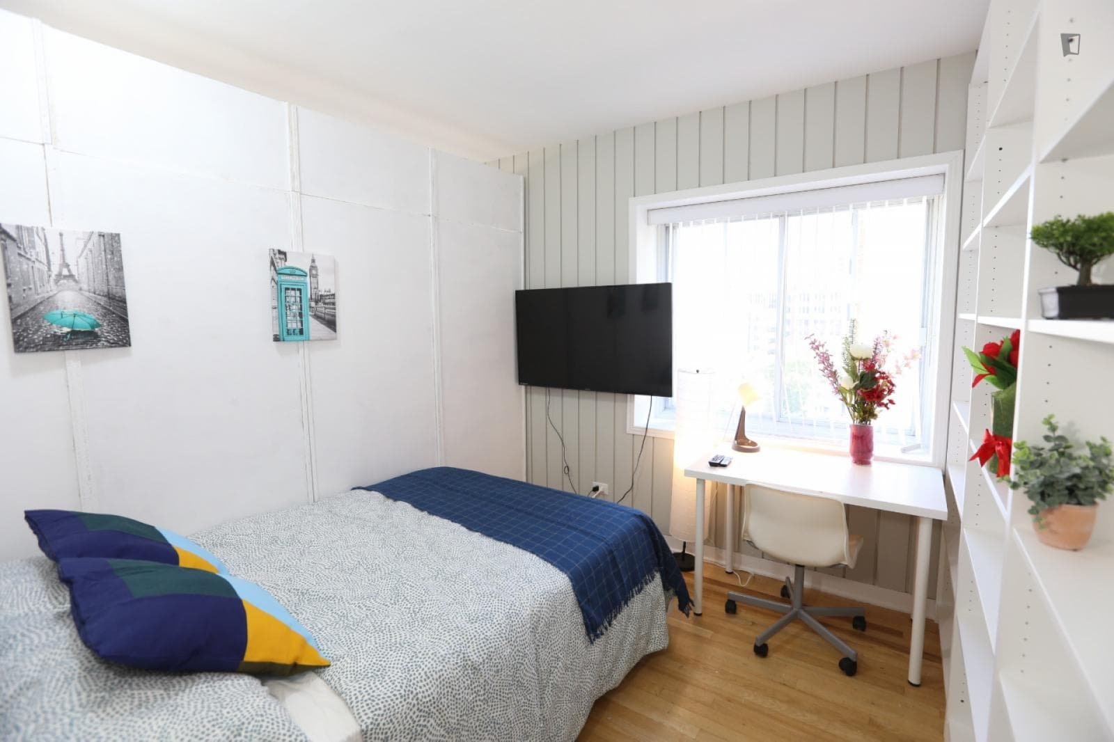 Homey double bedroom in proximity to the University of Alberta photo 1