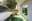 preload