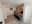preload