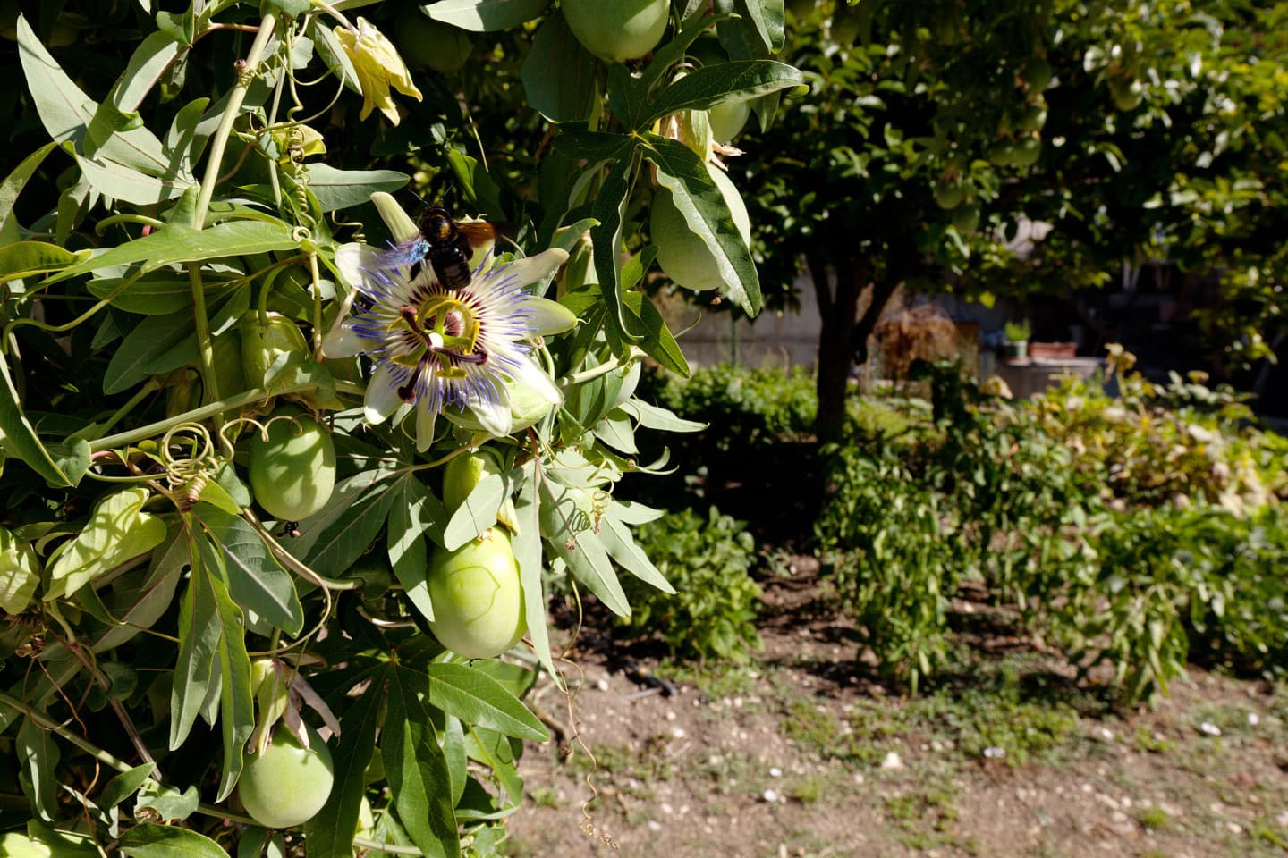 Property photo thumbnail