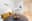 preload