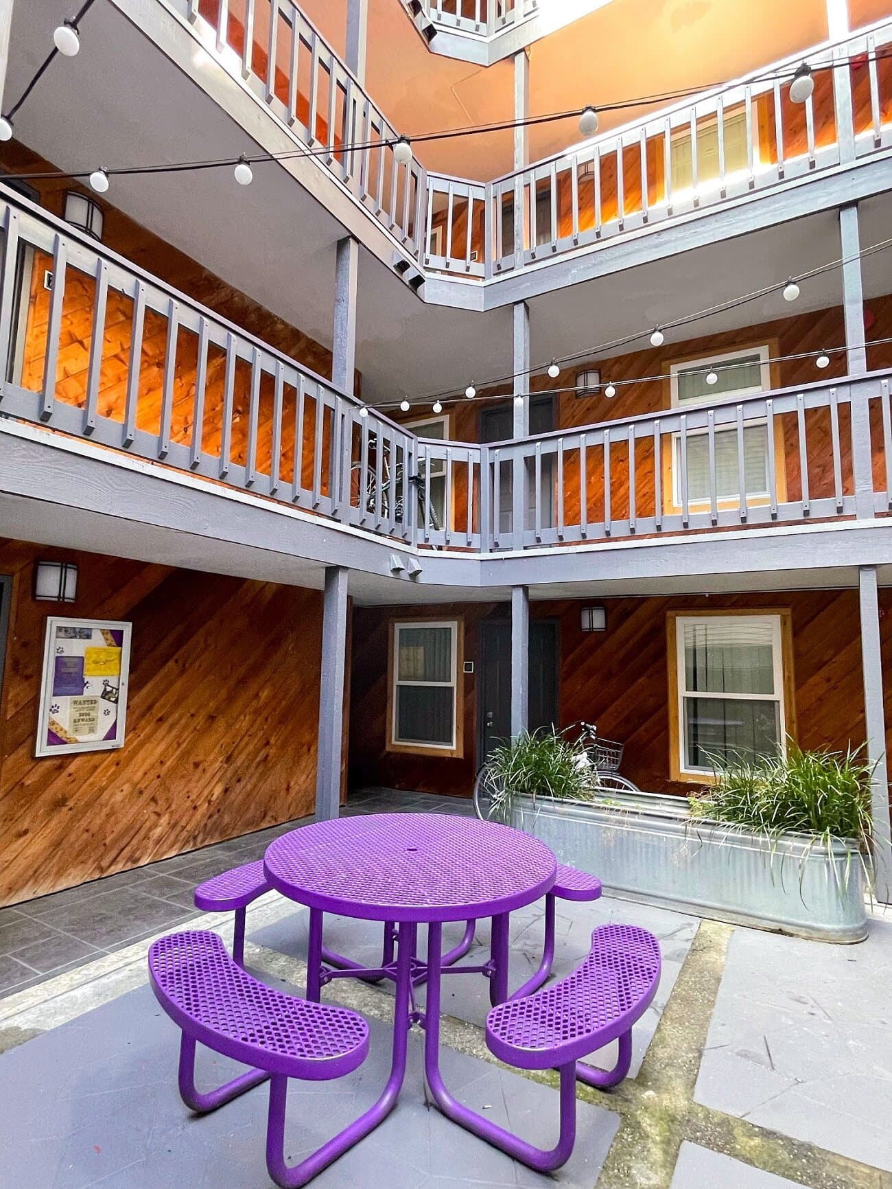 U-District Student Housing Apex photo 1