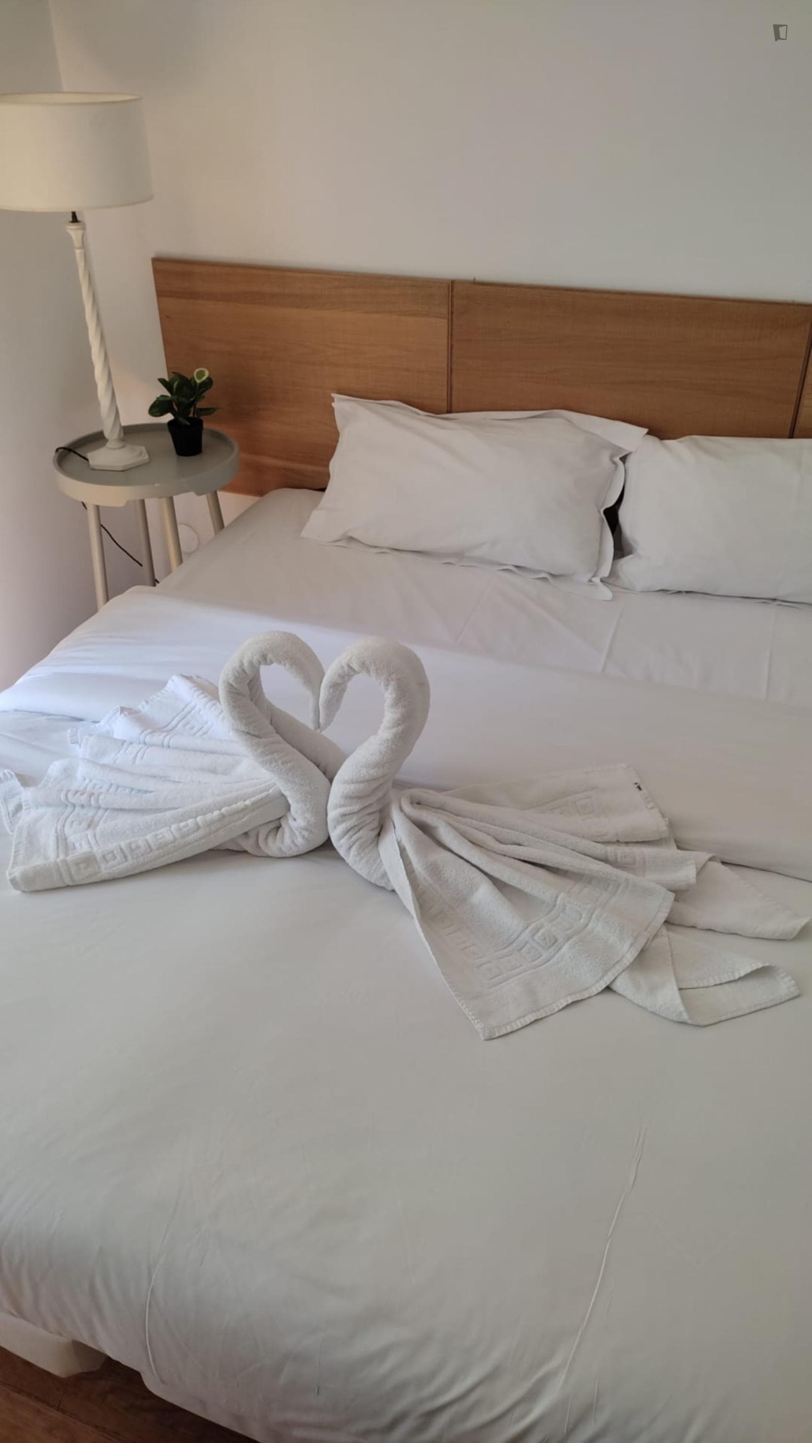 Great double bedroom in São Sebastião neighbourhood photo 1