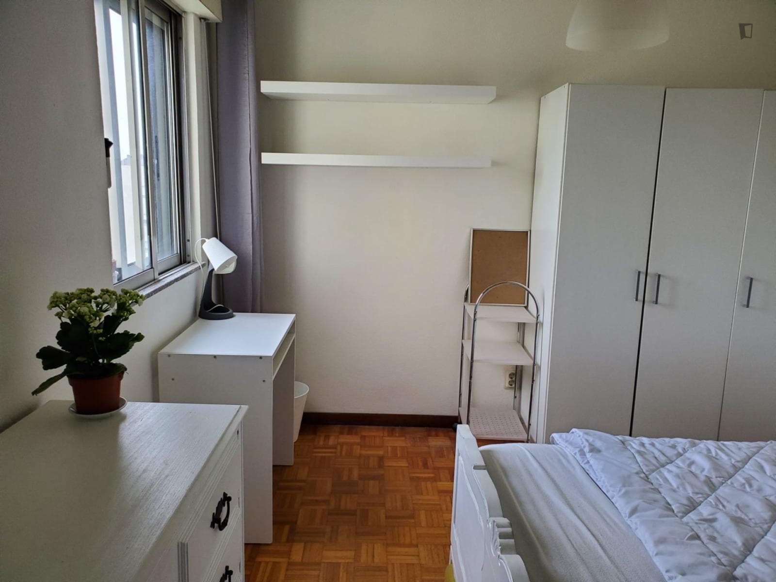 Nice single bedroom in Ramalde photo 1