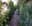 preload