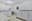 preload