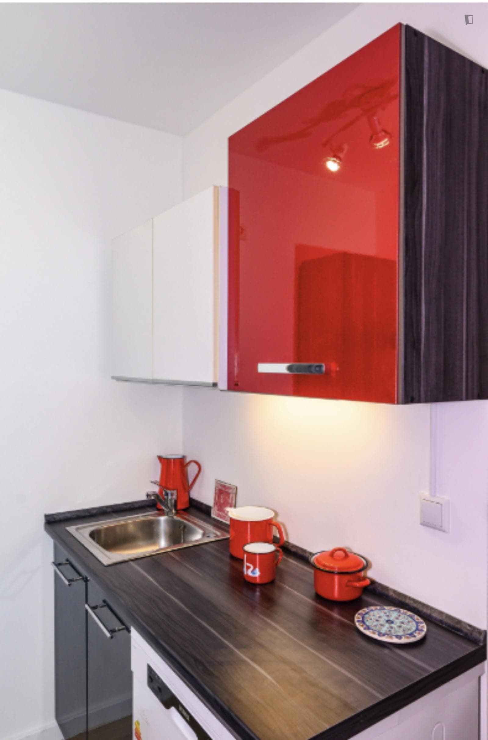 Cozy 1 Bedroom Apartment close to Rhine River photo 1