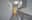 preload