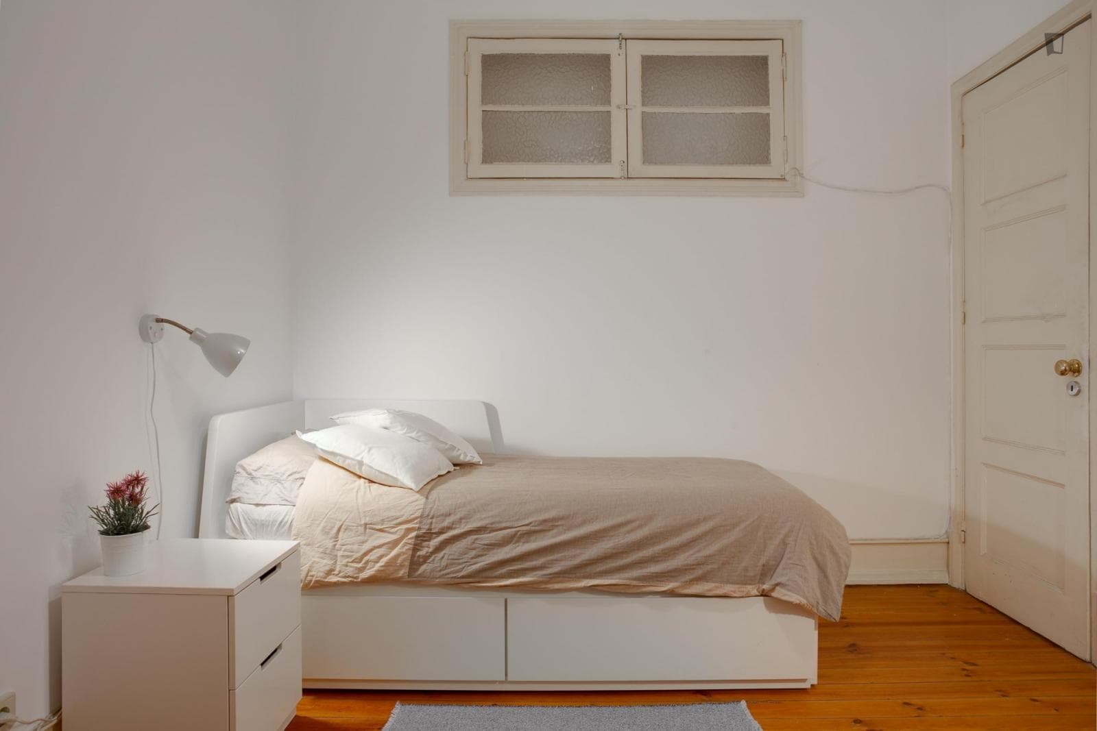 Perfect and comfortable single bedroom in Sete Rios photo 1