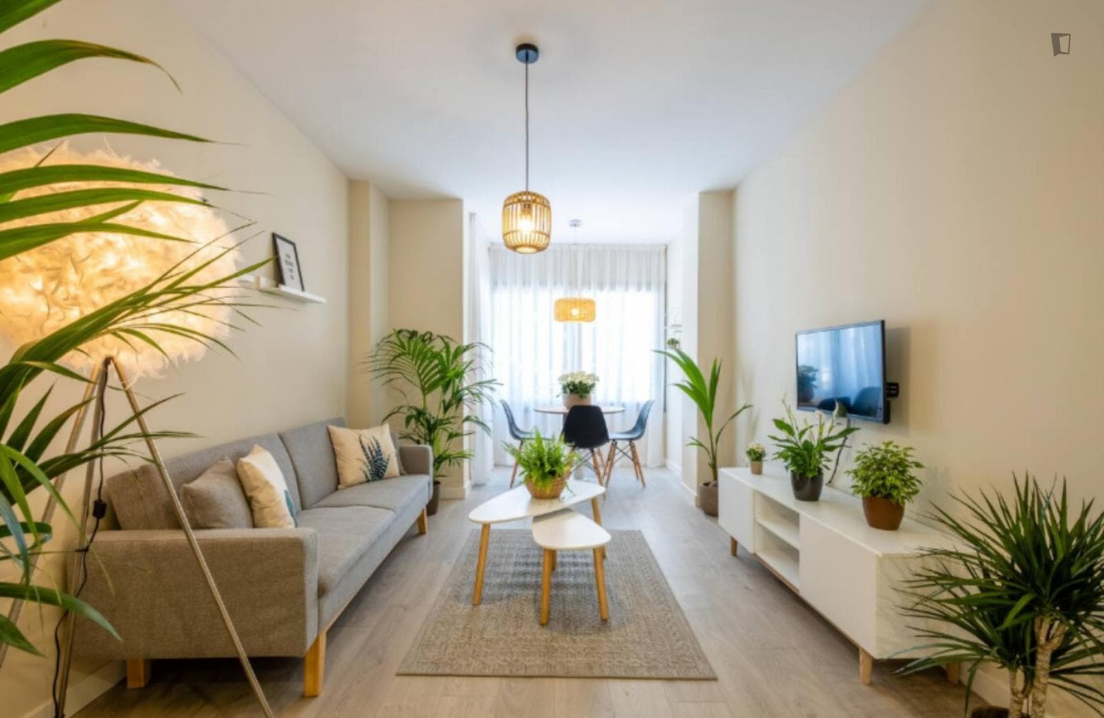 Lovely 1-bedroom apartment close to La Trinidad  photo 1