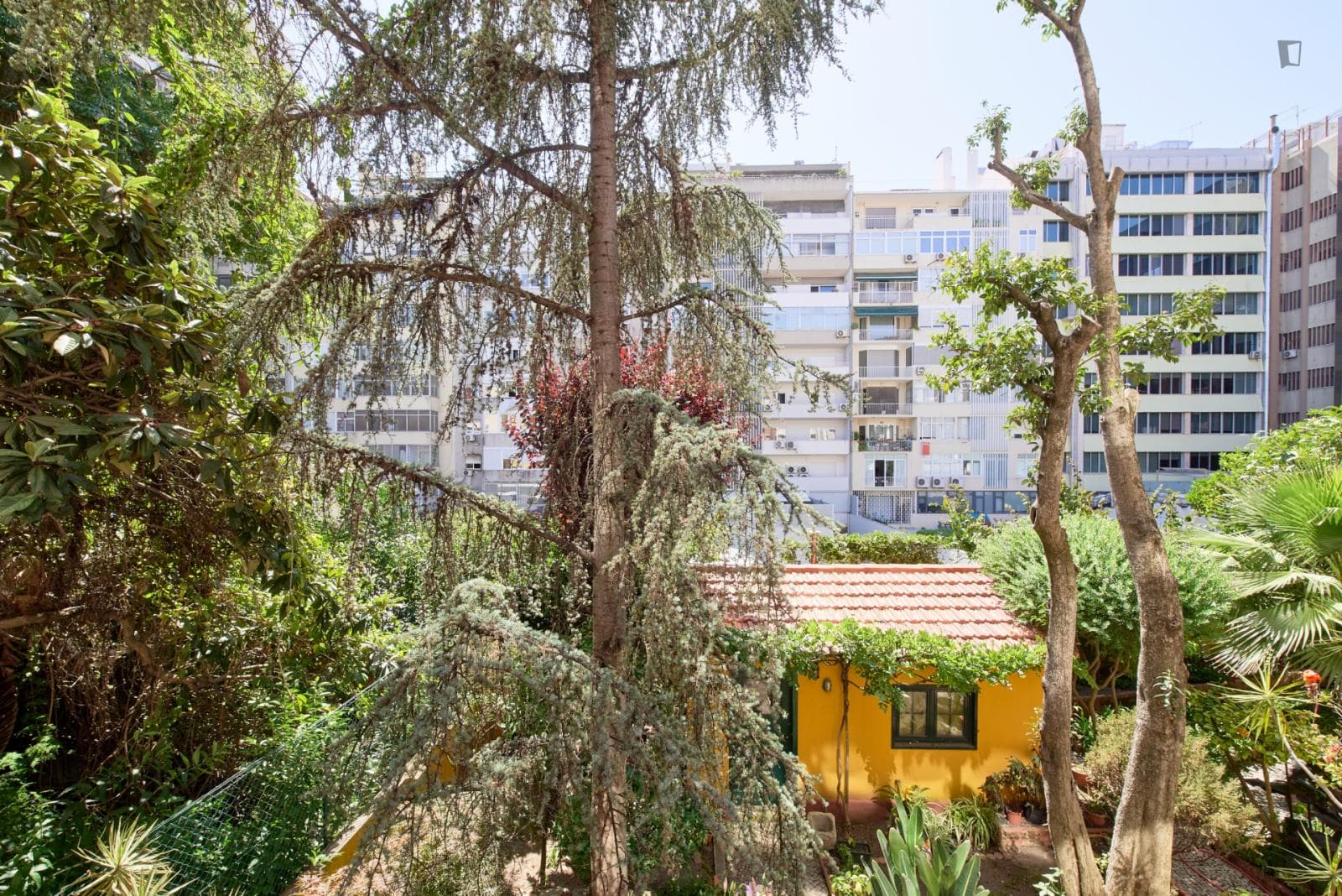 Great single bedroom in Campo Pequeno photo 1