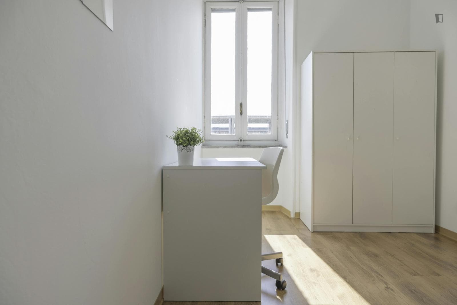 Neat single bedroom near the School of Management and Economics photo 1