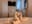 preload