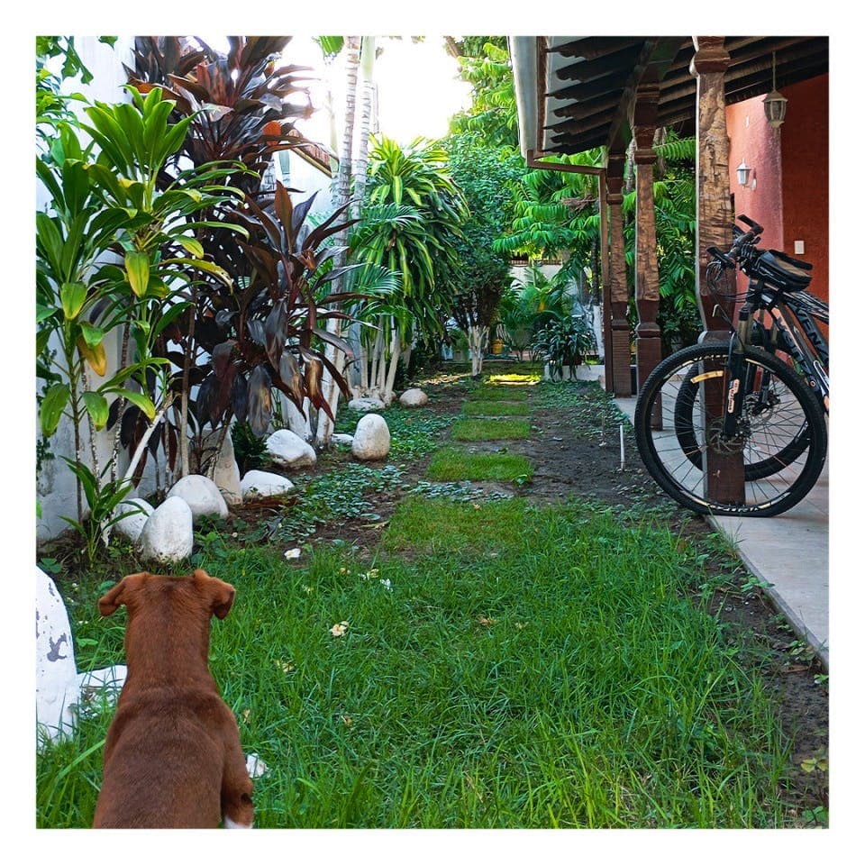 Property photo thumbnail