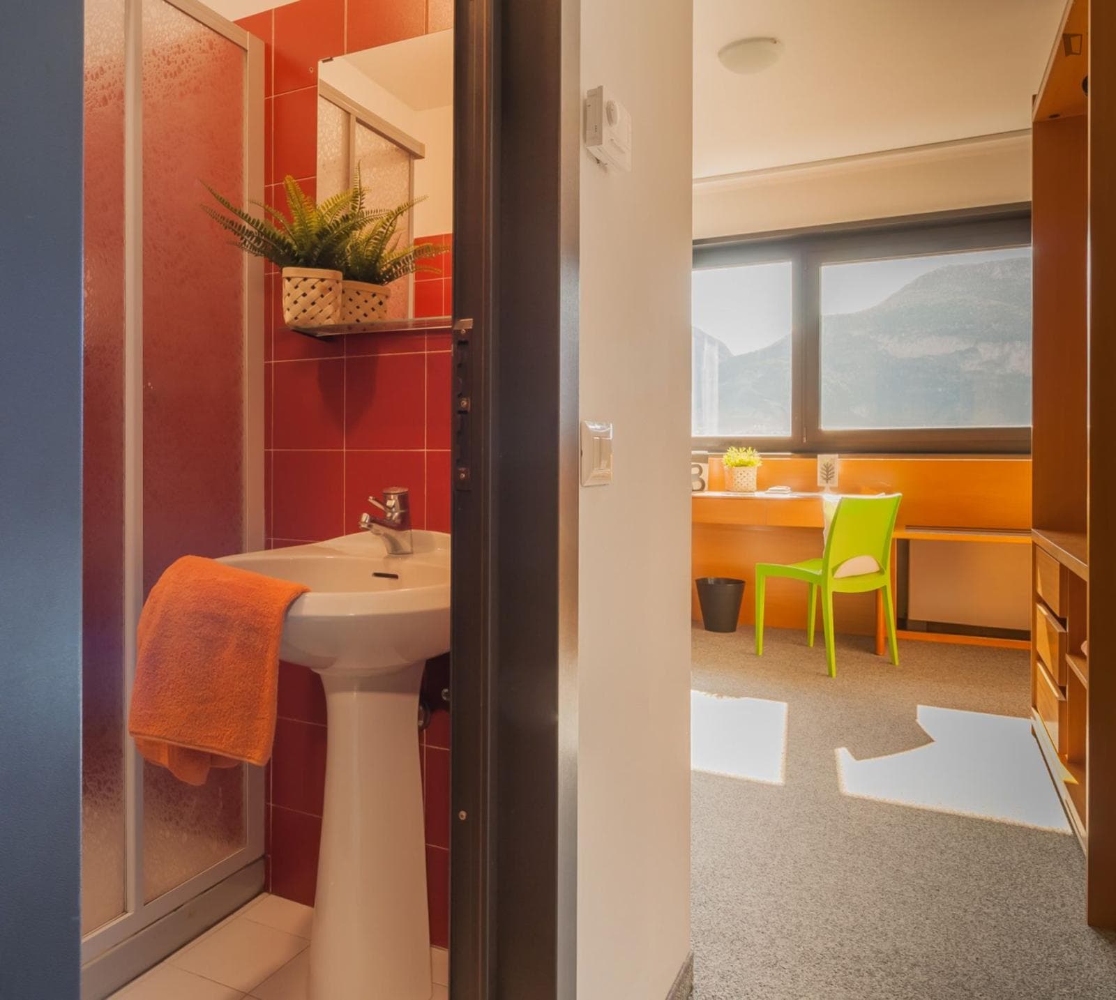 Bright single ensuite bedroom in North Trento photo 1