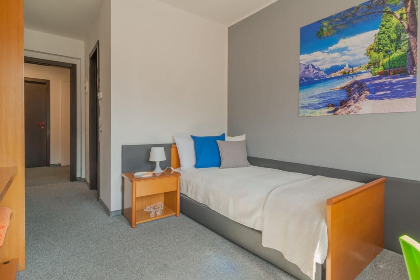 Tidy ensuite single bedroom in North Trento photo 1