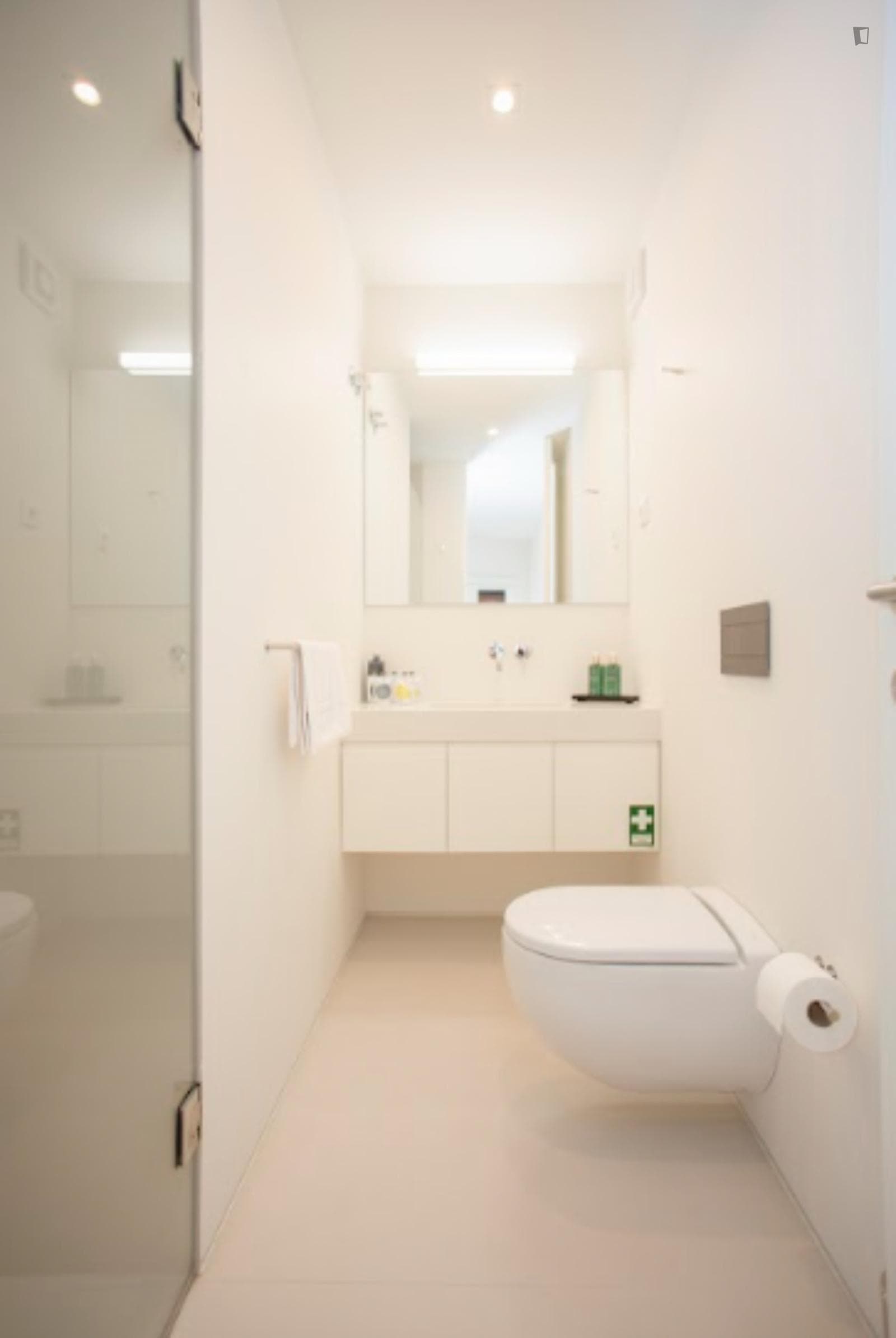 Bright 1-bedroom flat near Lapa metro station photo 1