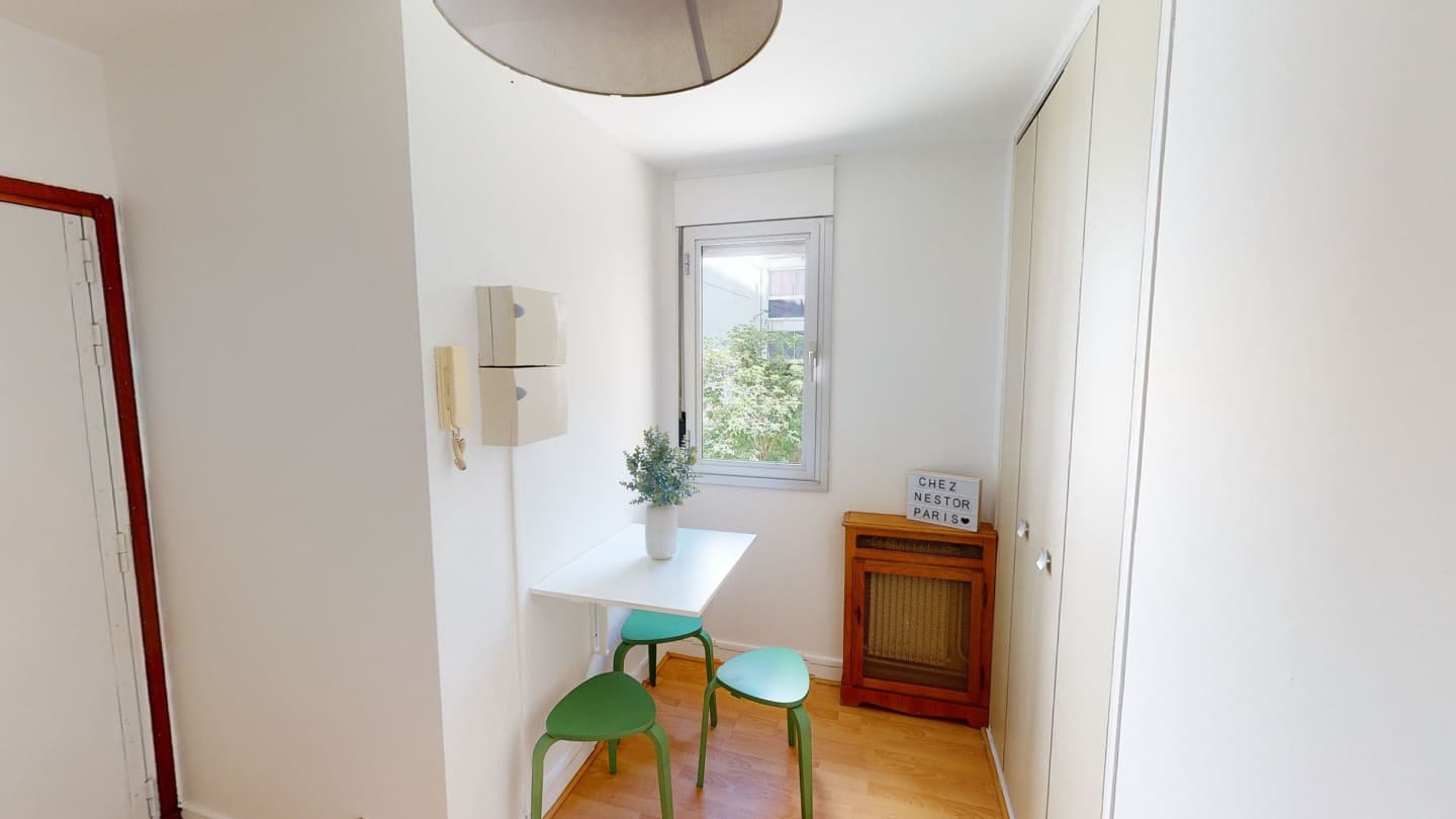 Wonderful Cozy Apt. near Javel photo 1